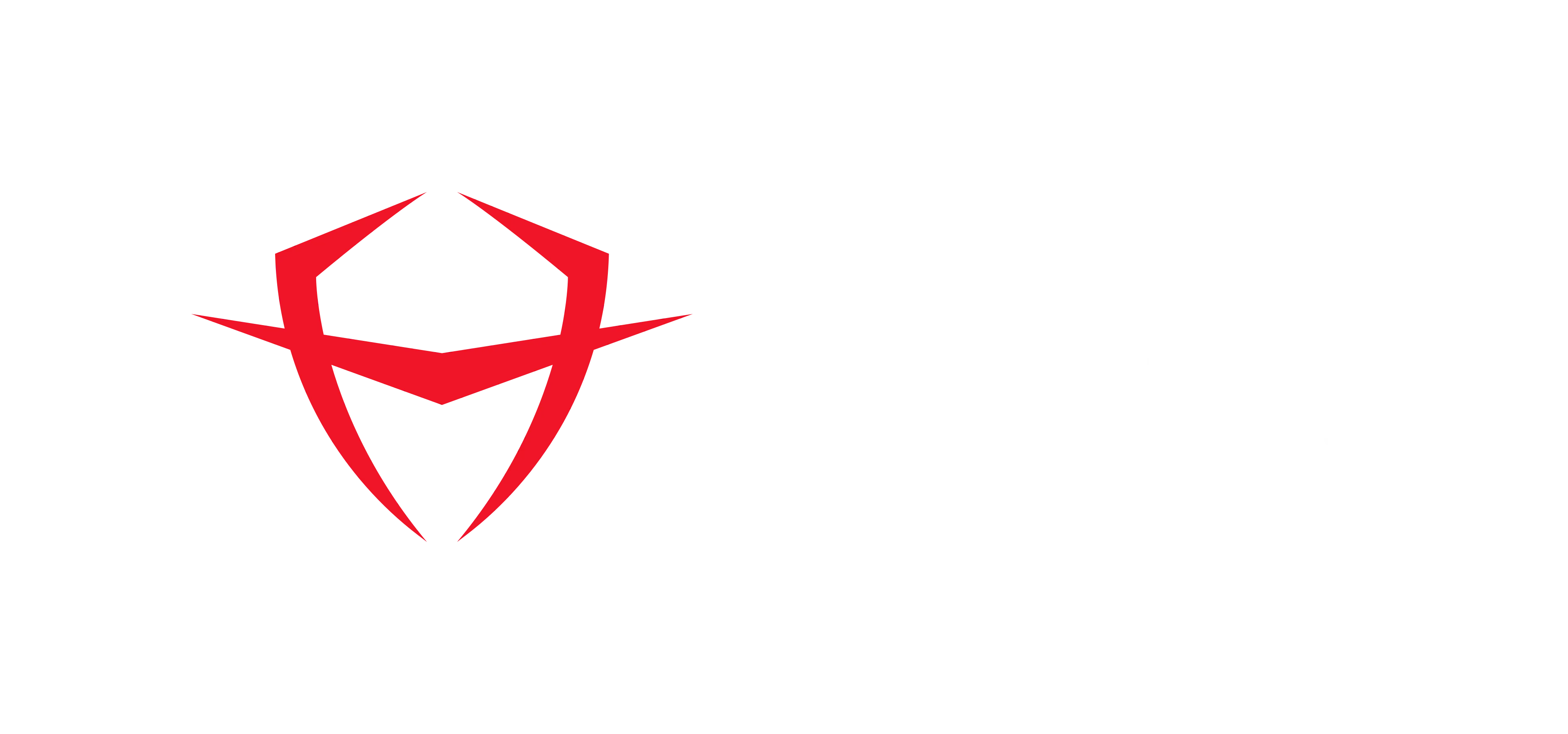 Haxoris - Professional Cybersecurity and Ethical Hacking Company Logo